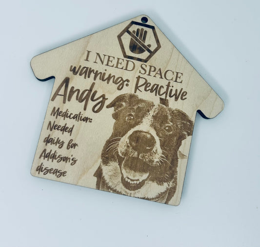 Pet Information Wooden Tag