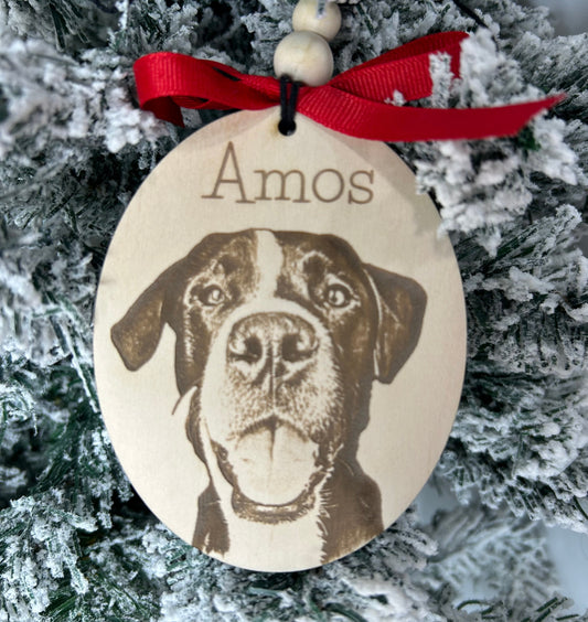 WHOLESALE Personalized Pet Portrait Ornaments