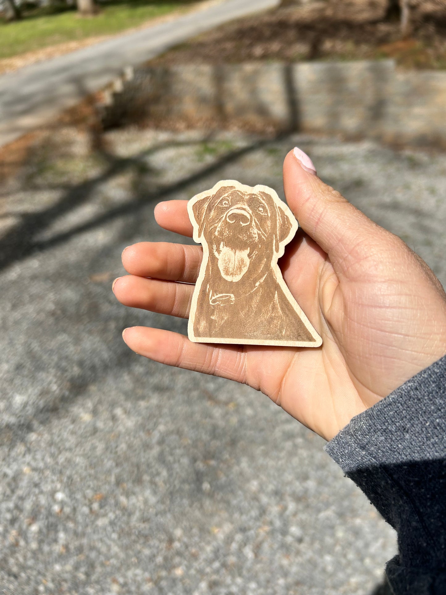 Personalized Pet Magnets