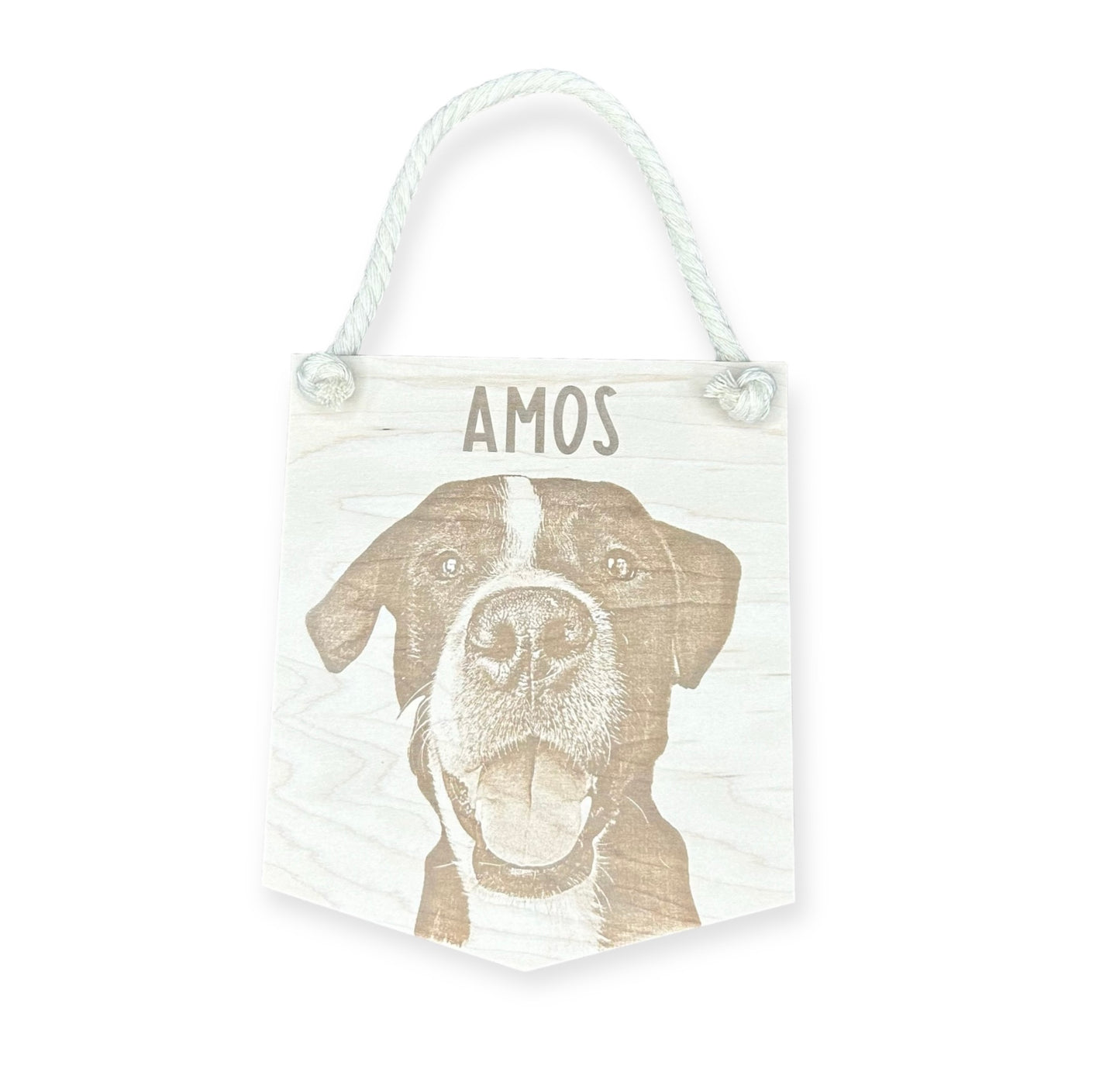 Pet Portrait Wall Hanging