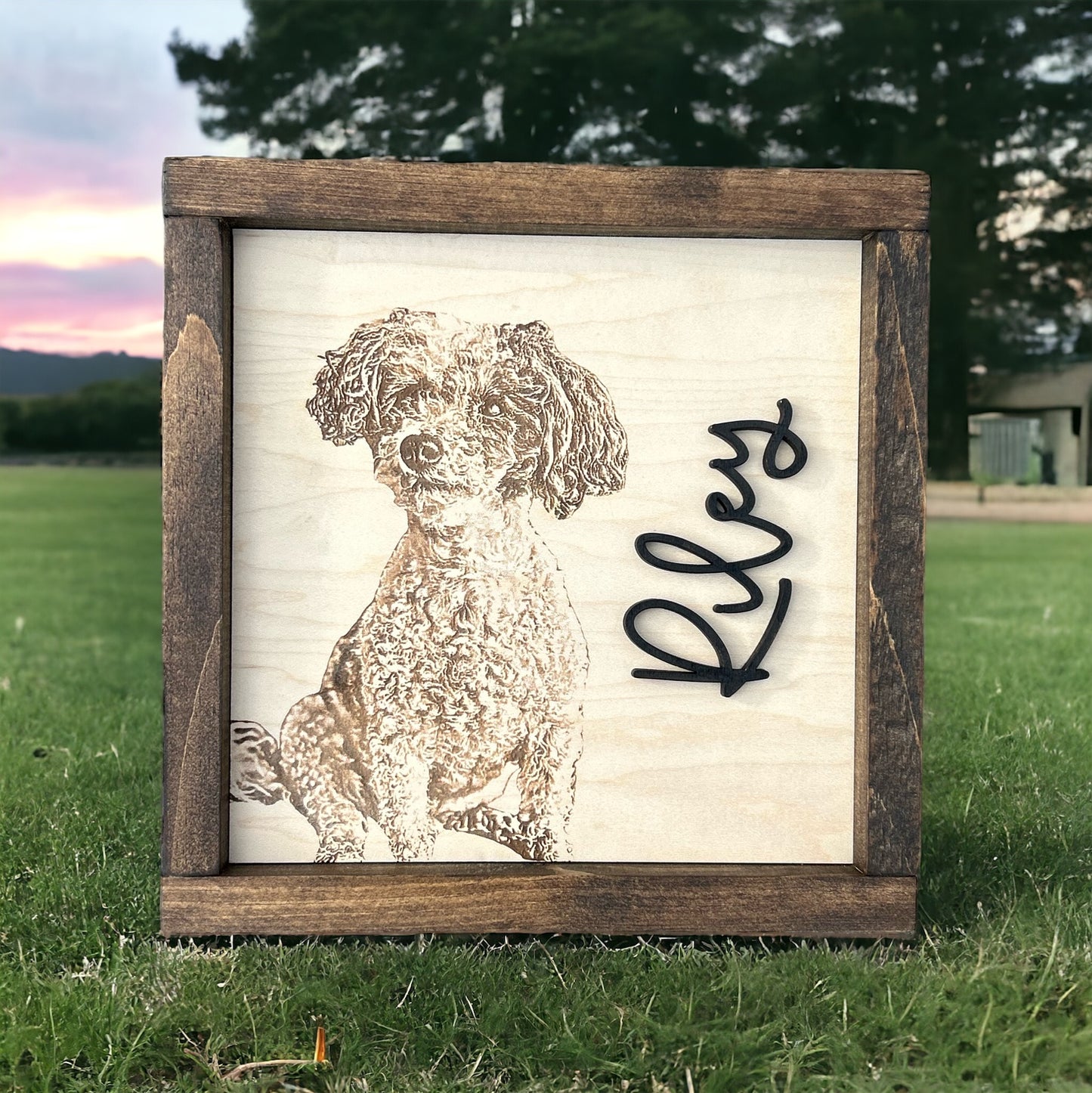 Framed Pet Portrait