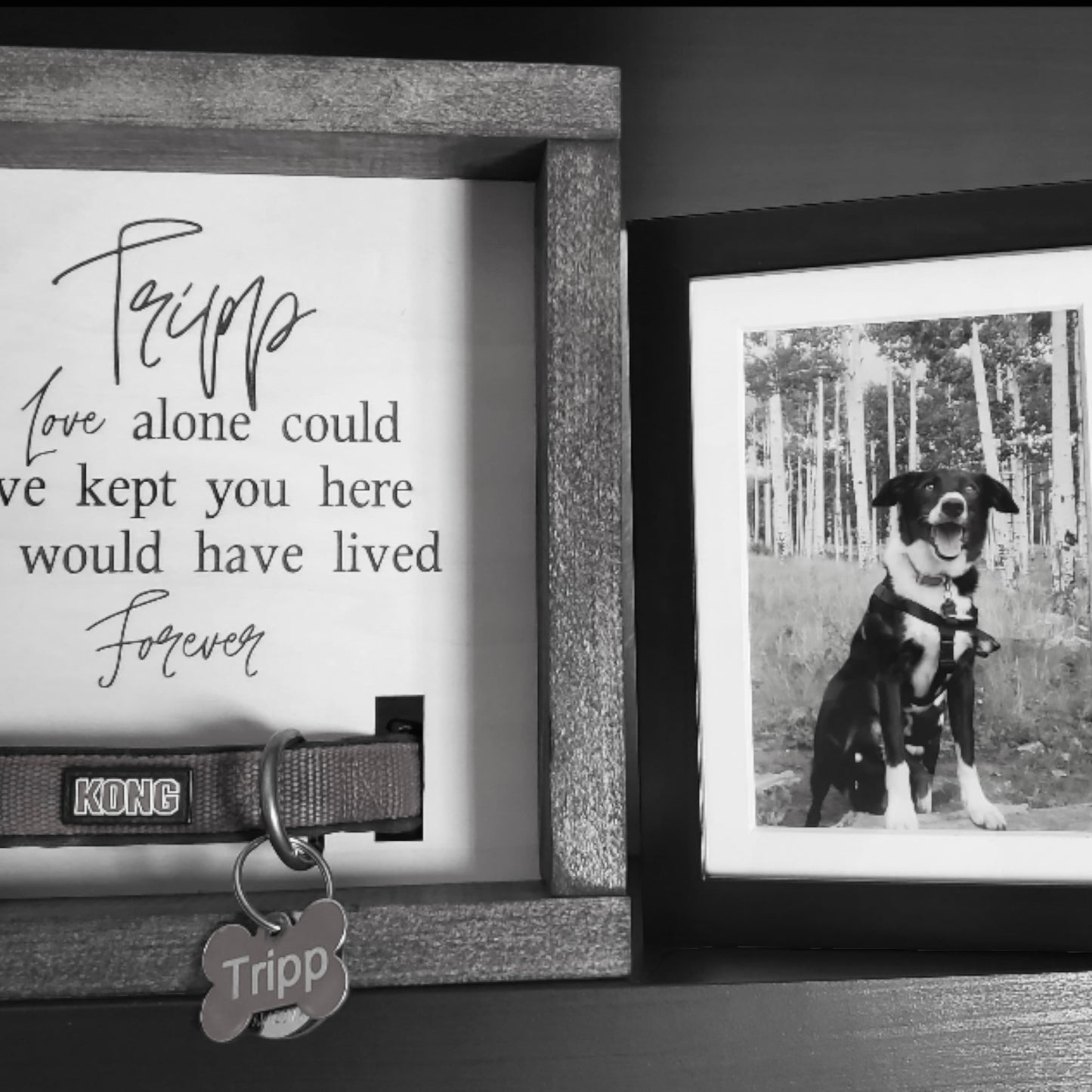 Dog Collar Memorial Keepsake